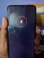 232177158_362190258763452_3690441015600131514_n.webp