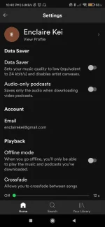 Screenshot_2021-08-11-22-40-23-831_com.spotify.music.webp
