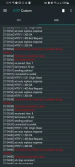 Screenshot_20210814-171948_HTTP Custom.webp