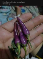 IMG_20210815_073910.webp