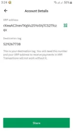 123214354325345432532.webp