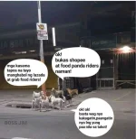 FB_IMG_16291545943217871.webp