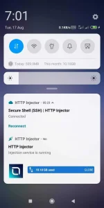 Screenshot_2021-08-17-19-01-42-741_com.miui.home.webp
