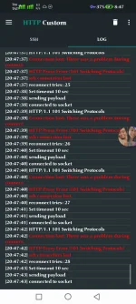 Screenshot_20210817_204743_xyz.easypro.httpcustom.webp
