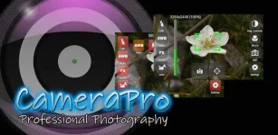 gesgo.webp