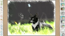 mFaE5IC.webp