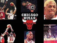 chibulls.2.webp