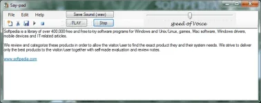 Say-pad_1.webp