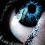 1485.webp