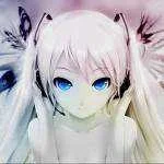 260.webp