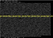 niXaQRj.webp