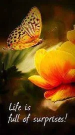 pgJBrh1.webp