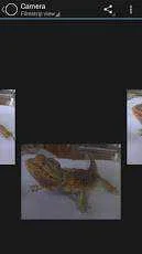 02yAECE.webp