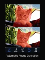 nL1xtfx.webp