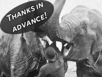 most-annoying-phrases-thanks-in-advance.webp