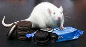 Oreo-cøøkíés-are-Addictive.webp