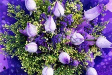 6-Rose-Colors-and-Their-Meanings-06-af.webp