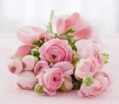 6-Rose-Colors-and-Their-Meanings-03-af.webp