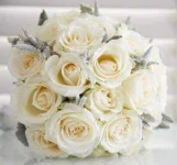 6-Rose-Colors-and-Their-Meanings-04-af.webp