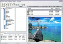 jxPFf7G.webp