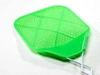 14-brain-boosters-fly-swatter-sl.webp