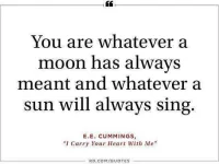 poetry-quotes2.webp