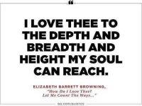 poetry-quotes3.webp
