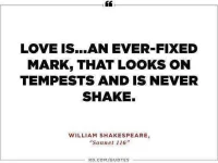 poetry-quotes9.webp