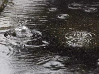 03-rain-facts-raindrops-sl.webp 03-rain-facts-raindrops-sl.webp