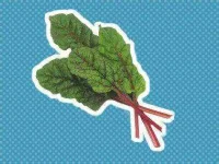 06-leftovers-swiss-chard-stalk-sl.webp