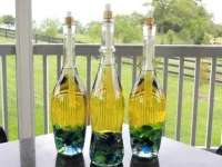 diy-wine-bottles-tiki-torch-fsl.webp