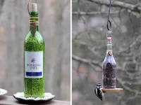 diy-wine-bottles-bird-feeder-fsl.webp