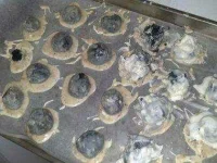 04-oreos-food-fails-sl.webp