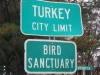 funny-road-sign-turkey-bird.webp