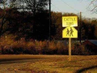 funny-road-signs-cattle.webp