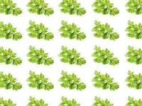 03-superfoods-parsley-sl.webp