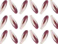 04-superfoods-endive-sl.webp