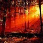 thumbs_7-3d-wallpaper.webp thumbs_7-3d-wallpaper.webp