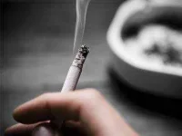 05-black-pepper-quit-*******-sl.webp