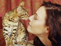 13-things-cats-03-sl.webp