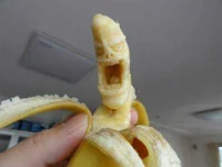 6440bd6c94.webp