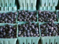 03-diabetes-superfoods-blueberries-sl.webp