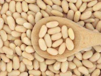 08-diabetes-superfoods-cannellini-beans-sl.webp
