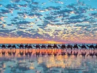 06-stunning-photographs-camel-fsl.webp