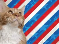 02-stubbs-cat-political-animals-fsl.webp