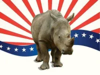 03-cacareco-rhino-political-animals-fsl.webp