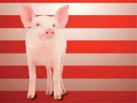 05-pigasus-pig-political-animals-fsl.webp
