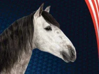 07-incitatus-horse-political-animals-fsl.webp