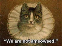 CatMouser.webp