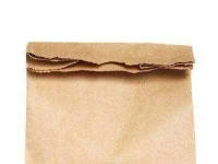 Paper-bag-sl.webp